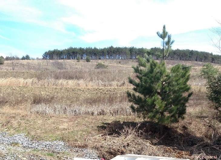 New Manganese Oxide-Coated Filters Efficiently Eliminate Contaminants from Hospital Wastewater