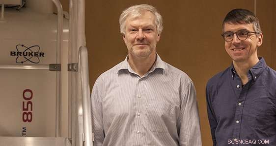 Tree Rings: A Key Tool for Accurate Climate Forecasting