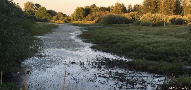 Wildfires Boost River Flow for Years, New Study Reveals