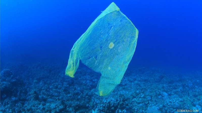 Why Banning Plastic Bags Matters: Protecting Our Environment