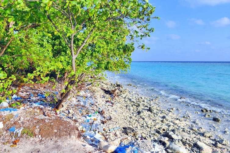 Why Banning Plastic Bags Matters: Protecting Our Environment