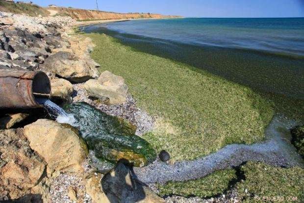 Urgent Action Needed: Safeguarding the Baltic Sea from Nitrate Pollution