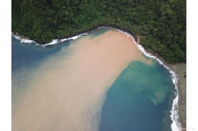 Logging in Tropical Forests Threatens Water Quality and Community Health