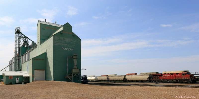 Railway Planning Shortfalls Cost Canadian Farmers Significant Losses