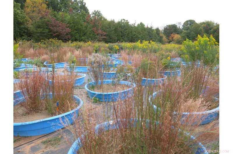 Warming Climate Accelerates Forest Regrowth in the Eastern U.S.