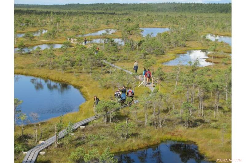 Rising Temperatures Sparked Peatland Formation After the Last Ice Age