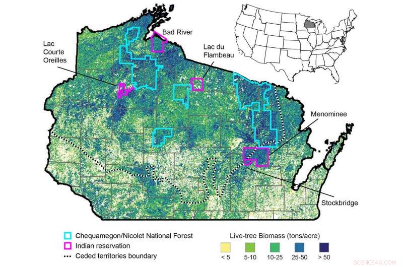 Wisconsin Tribal Forests Show Greater Diversity and Sustainability