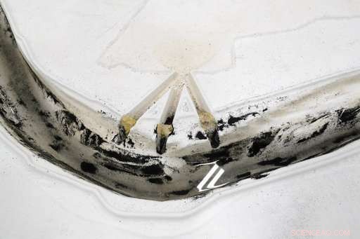 Monitoring the Mississippi: Innovative Model Could Protect Coastal Communities