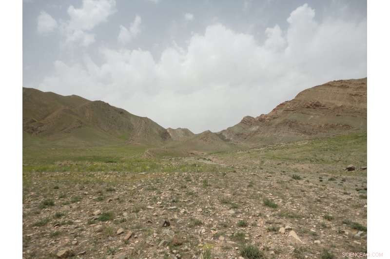 Scientists Reveal How Oxygen Levels Guided Life s Recovery After Mass Extinction