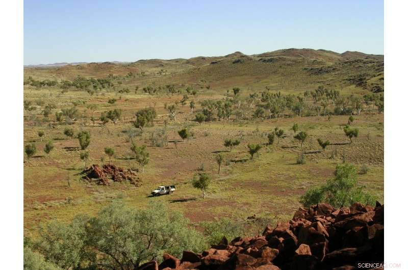 Unveiling the 3-Billion-Year-Old Formation of the Pilbara Craton