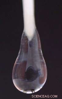 How Root Exudates Influence Soil Stability and Water Repellency