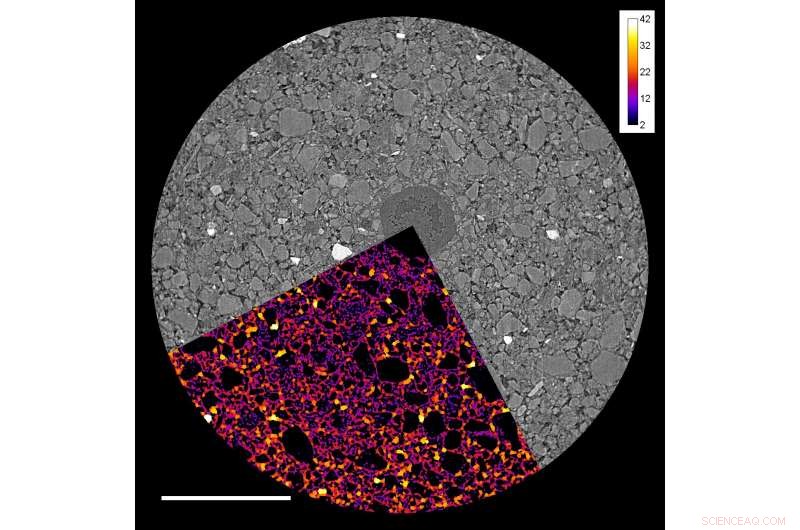 How Root Exudates Influence Soil Stability and Water Repellency