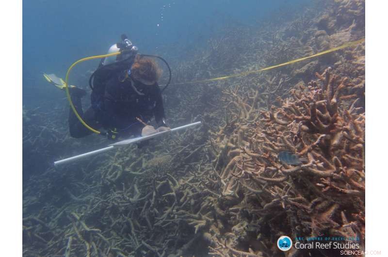Global Warming Alters the Great Barrier Reef: New Research Reveals Transformative Impacts