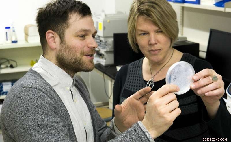 Engineered Bacteria Turn Methane Into Renewable Fuel