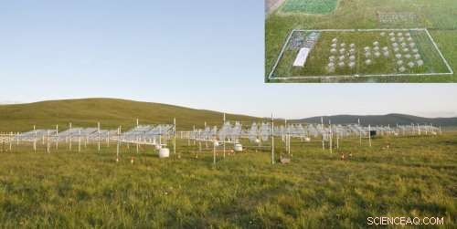 Alpine Grassland Productivity Remains Stable Despite Climate Warming on the Tibetan Plateau