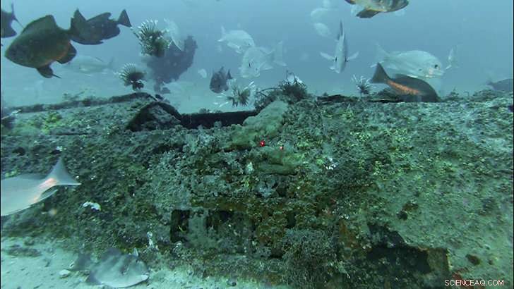 Deepwater Horizon: The Enduring Legacy of America s Largest Oil Spill