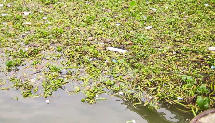 Cape Town: The World’s First City to Shut Off Its Water Supply