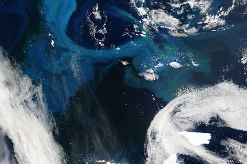 Climate Change Threatens Ocean Food Chains and Fish Populations