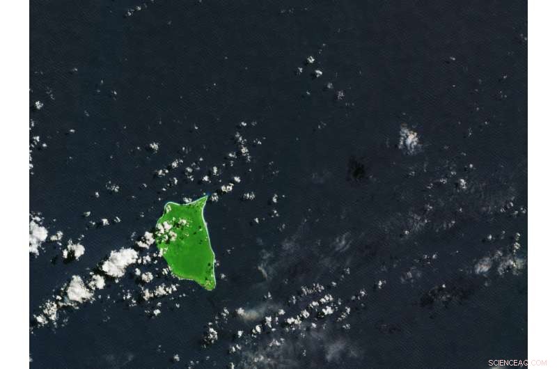 Henderson Island: A Stunning Coral Atoll in the South Pacific