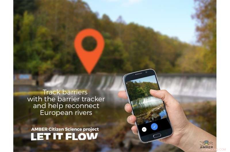 European Rivers: Fish and Canoeists Encounter Barriers Nearly Every Kilometer, Study Finds