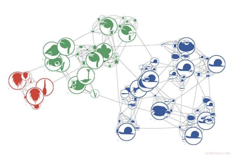 Network Analysis Uncovers the Ecological Fallout of Mass Extinctions