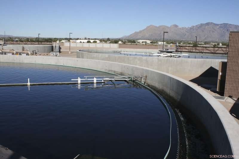 Sustainable Water Solutions for Desert Cities: Tucson & Phoenix