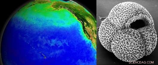 How a North Pacific Ocean Circulation Shift Helped End the Last Ice Age