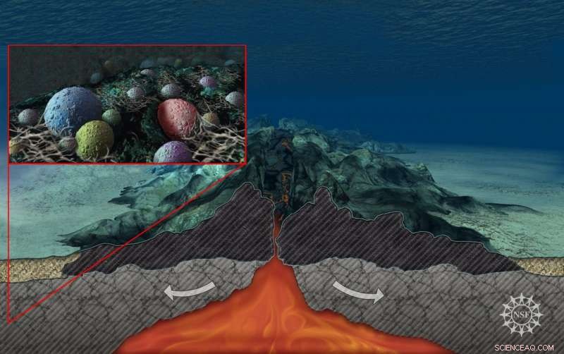 Microbes in Deep-Sea Aquifers Under the Mid-Atlantic Ridge Consume Carbon