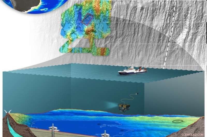 Microbes in Deep-Sea Aquifers Under the Mid-Atlantic Ridge Consume Carbon