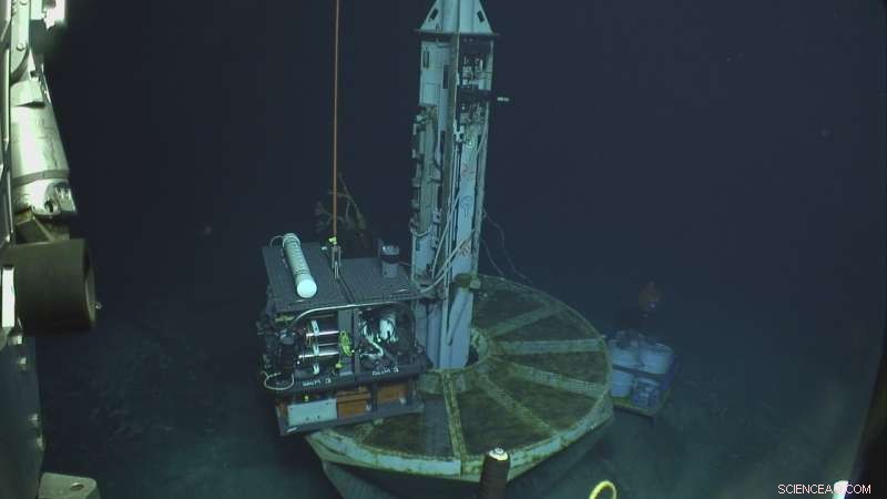 Microbes in Deep-Sea Aquifers Under the Mid-Atlantic Ridge Consume Carbon