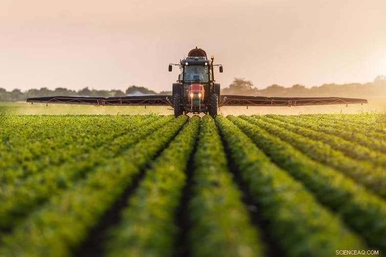 Organic Farming Goes Mainstream—But It’s Evolving Differently Than You Expect