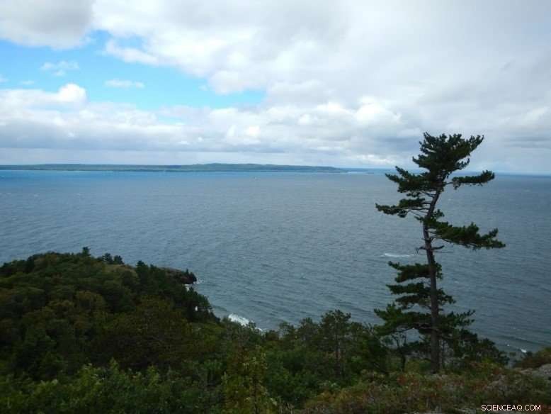 How Climate Change and Solar Radiation Shape Lake Superior’s CO2 Balance