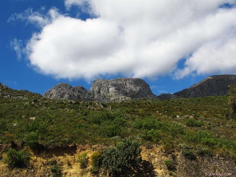 Fossil Teeth Unveil Fresh Insights into the 260‑Million‑Year‑Old Mass Extinction