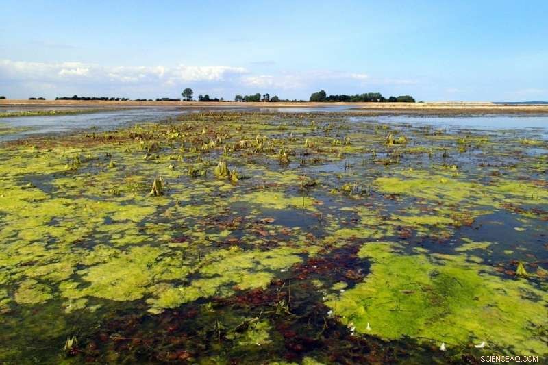 Impacts of Rising Sea Levels on Coastal Lands: What to Expect