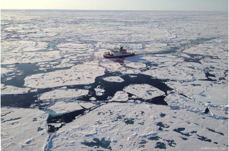 Scientists Record Highest Microplastic Levels in Arctic Sea Ice