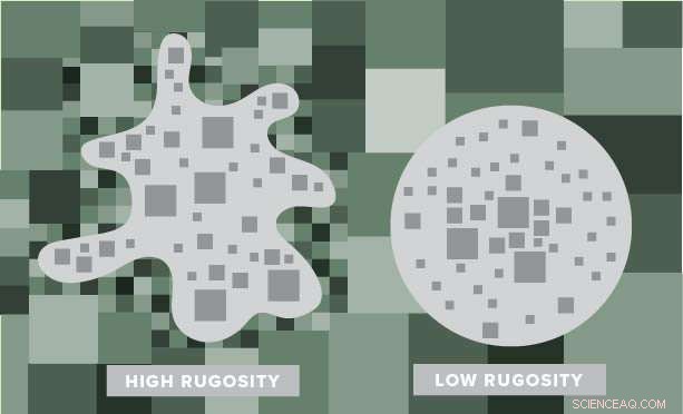 Beyond the Core: Embracing Rugosity in Urban Planning for Dynamic City Interfaces