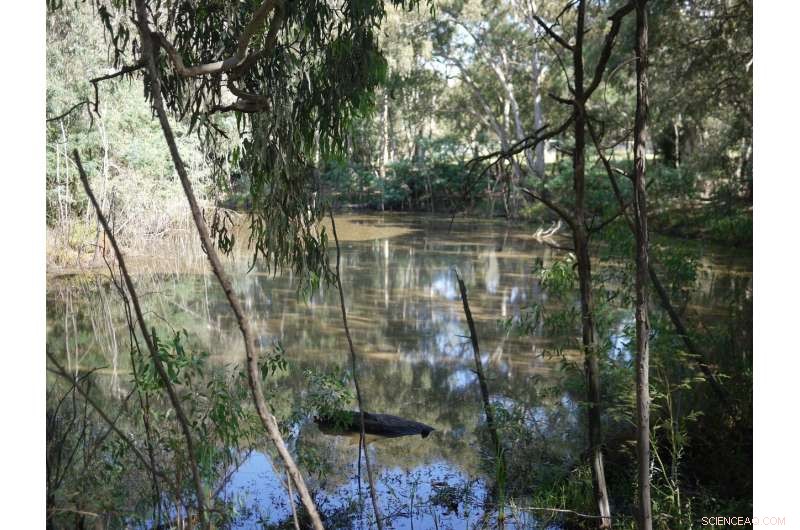 Restoring Place Narratives: Youth Stories Amid Climate Change