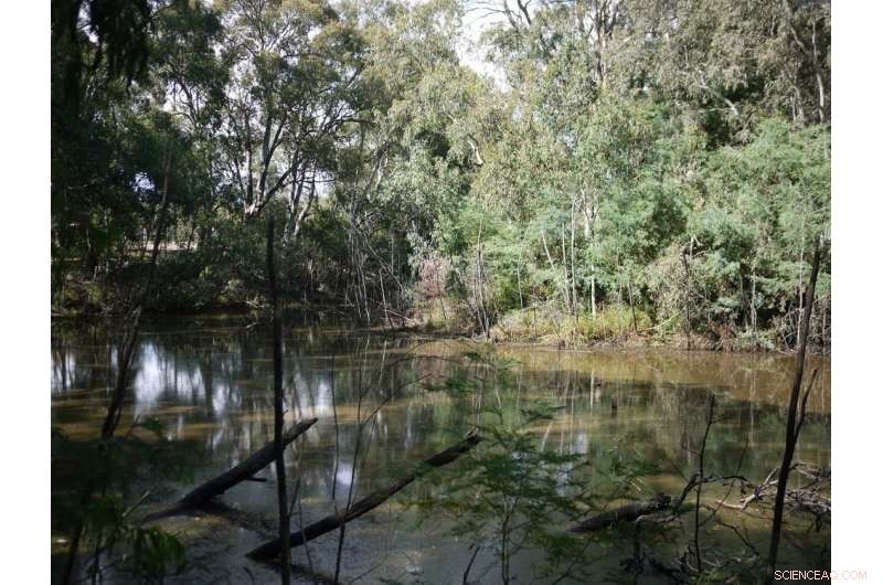 Restoring Place Narratives: Youth Stories Amid Climate Change