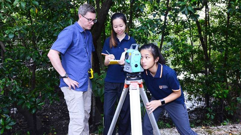 Researchers Uncover Key Benefits of Singapore’s Mangroves
