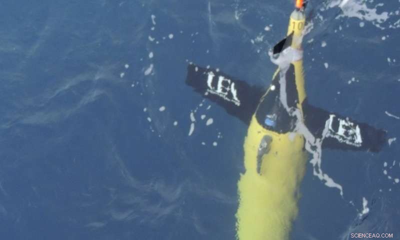 Underwater Robots Detect Rapidly Expanding Dead Zone in Gulf of Oman