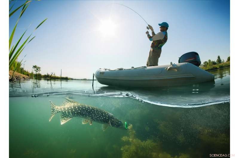 Microplastics Threaten Freshwater: Rivers & Lakes Contaminated Beyond Oceans