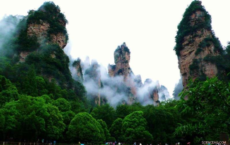 Creating Pandora on Earth: How Real-World Landscapes Mirror Avatar’s Fantastical Worlds