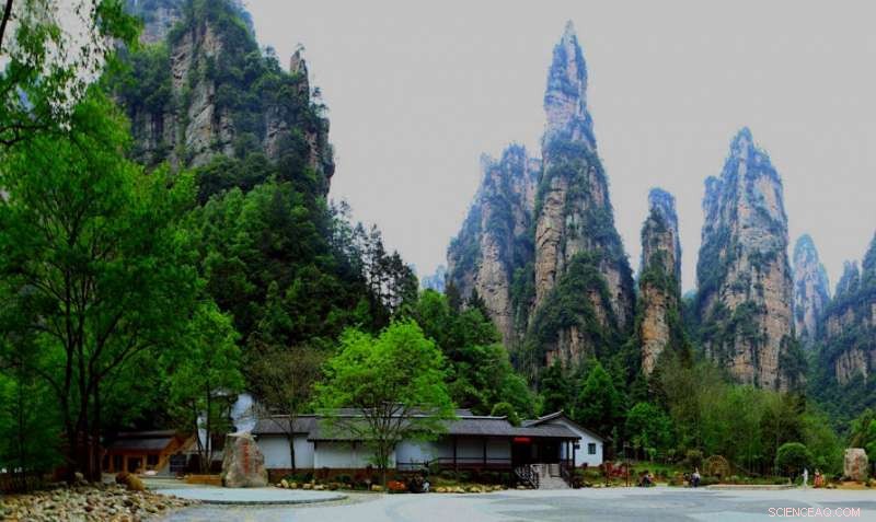 Creating Pandora on Earth: How Real-World Landscapes Mirror Avatar’s Fantastical Worlds