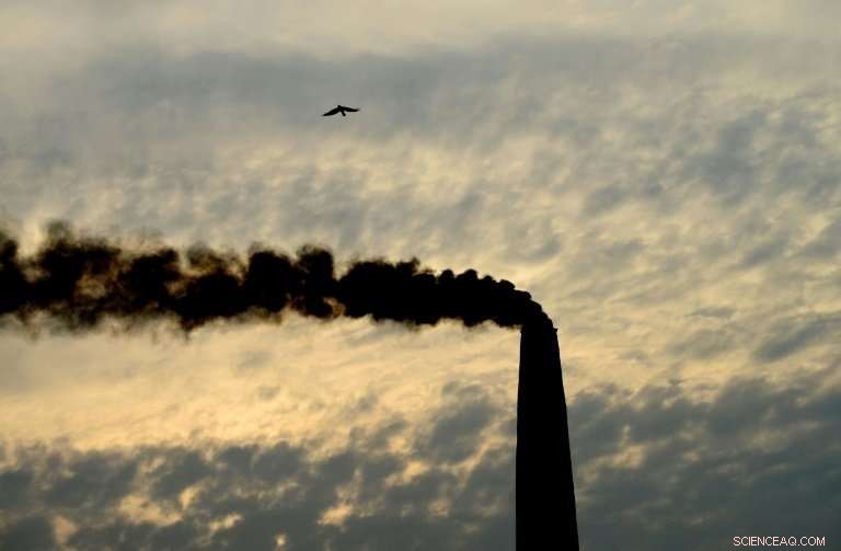 UN Calls for Urgent Global Action to Combat Climate Change