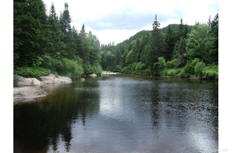 New Hampshire Streams Set to Warm as Climate Change Raises Temperatures, Dartmouth Study Shows