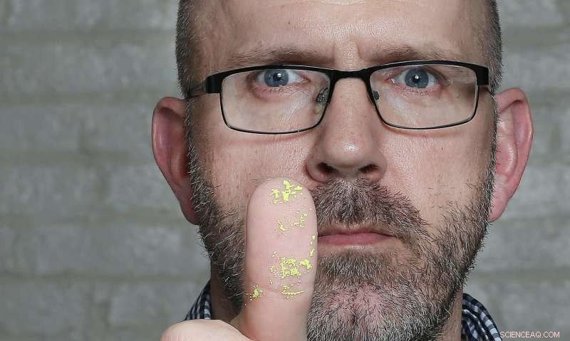 Microplastics Inflict Greatest Damage on Lower Food Web Levels, Study Finds