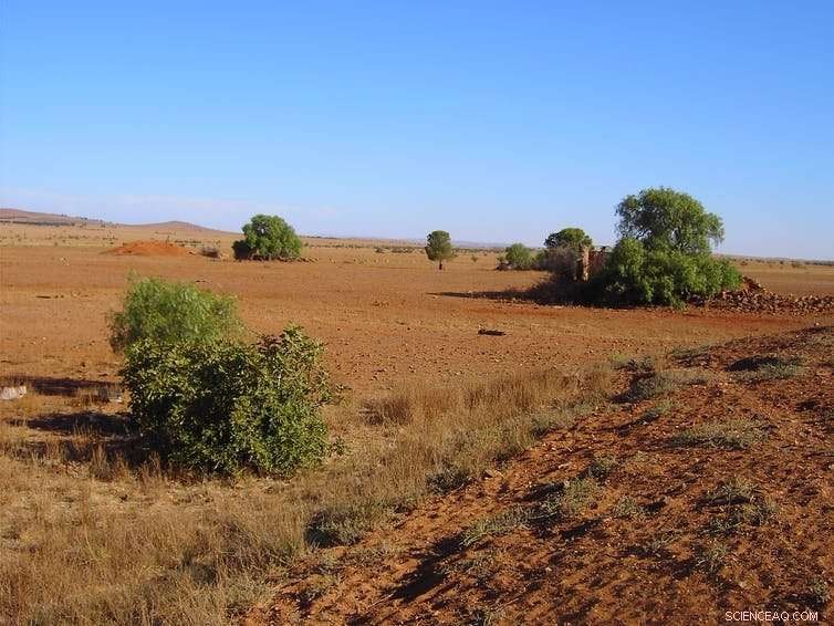 Australia’s Recent Droughts Could Be the Worst in 800 Years – Experts Warn