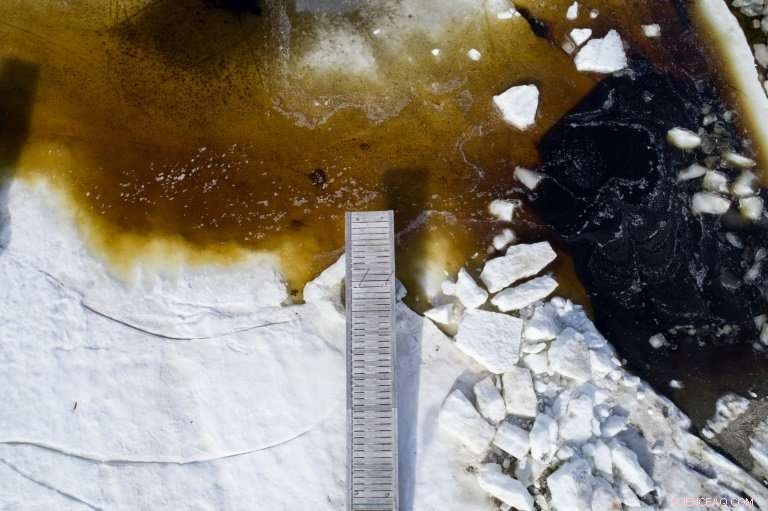 Spring Breaks the Ice: A Path Opens Through Finland s Frozen Archipelago