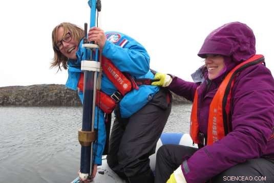 Rapid Ecological Shifts in the High Arctic: Insights from Recent Research