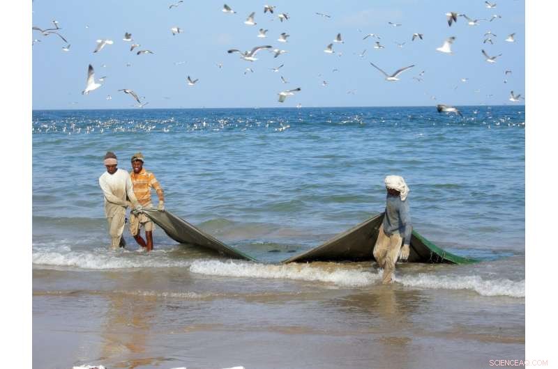 Climate Change Threatens Persian Gulf Biodiversity & Fisheries – 12% Loss Forecast by 2100
